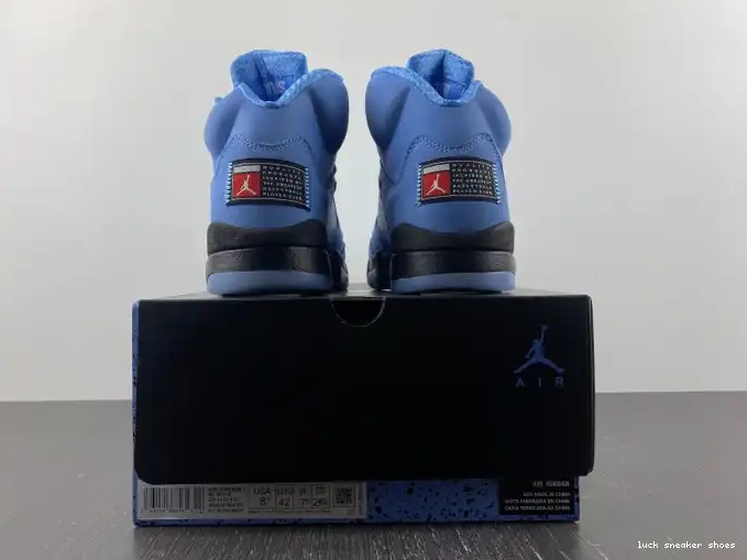 Rep LUCY 5 Jordan UNC DV1310-401 Air 0508